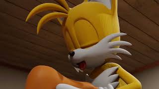 Tails Worshiping Sticks Feet