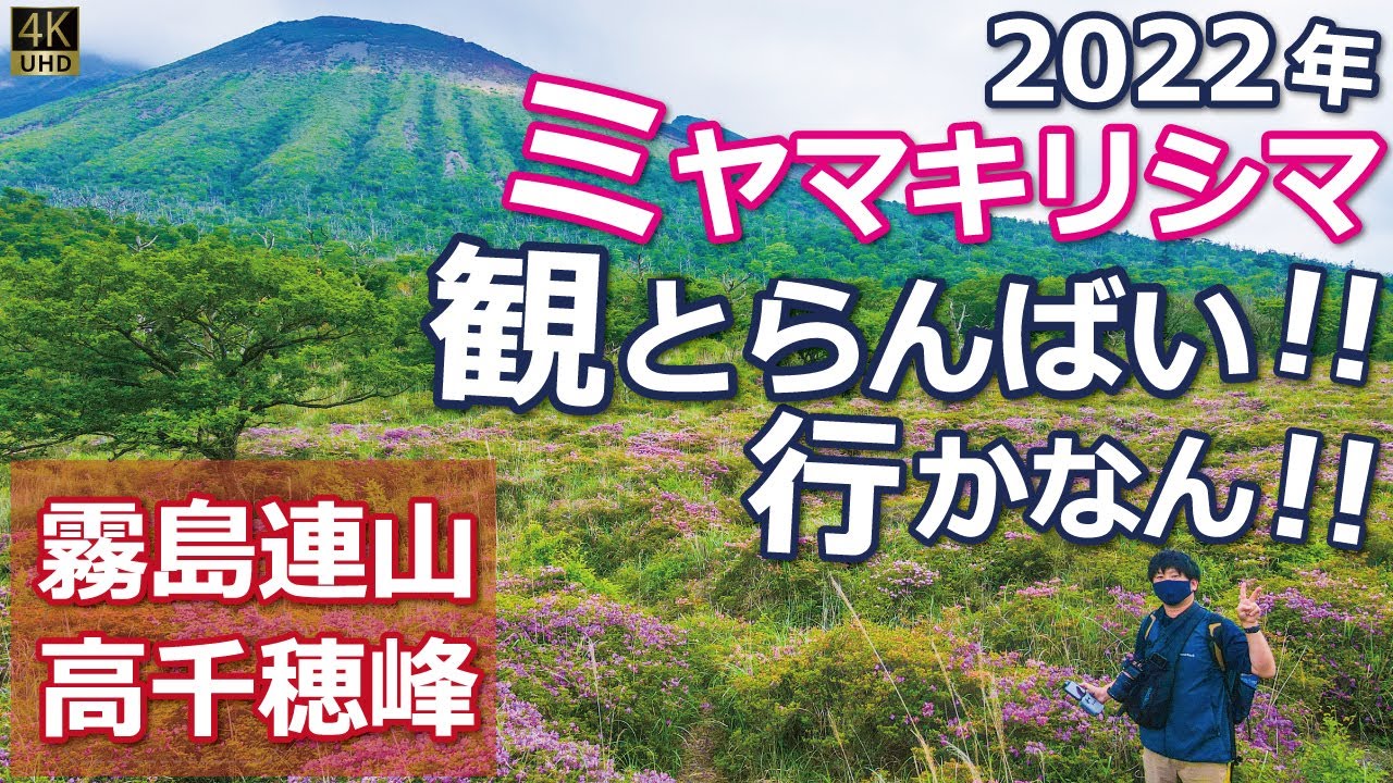 登山 くじゅう連山22年ミヤマキリシマ 星生山 北大船山 坊がつる 北千里ヶ浜の満開絶景ルート 4k空撮 Youtube 登山 くじゅう連山22年ミヤマキリシマ 星生山 北大船山 坊がつる 北千里ヶ浜の満開絶景ルート 4k空撮 Youtube