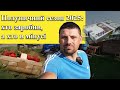 Ціна полуниці 2025 хто заробив а хто в мінусі Ціна полуниці 2025 хто заробив а хто в мінусі