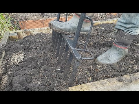 Video: Uso de un tenedor de excavación: aprenda cuándo usar tenedores de excavación en el jardín