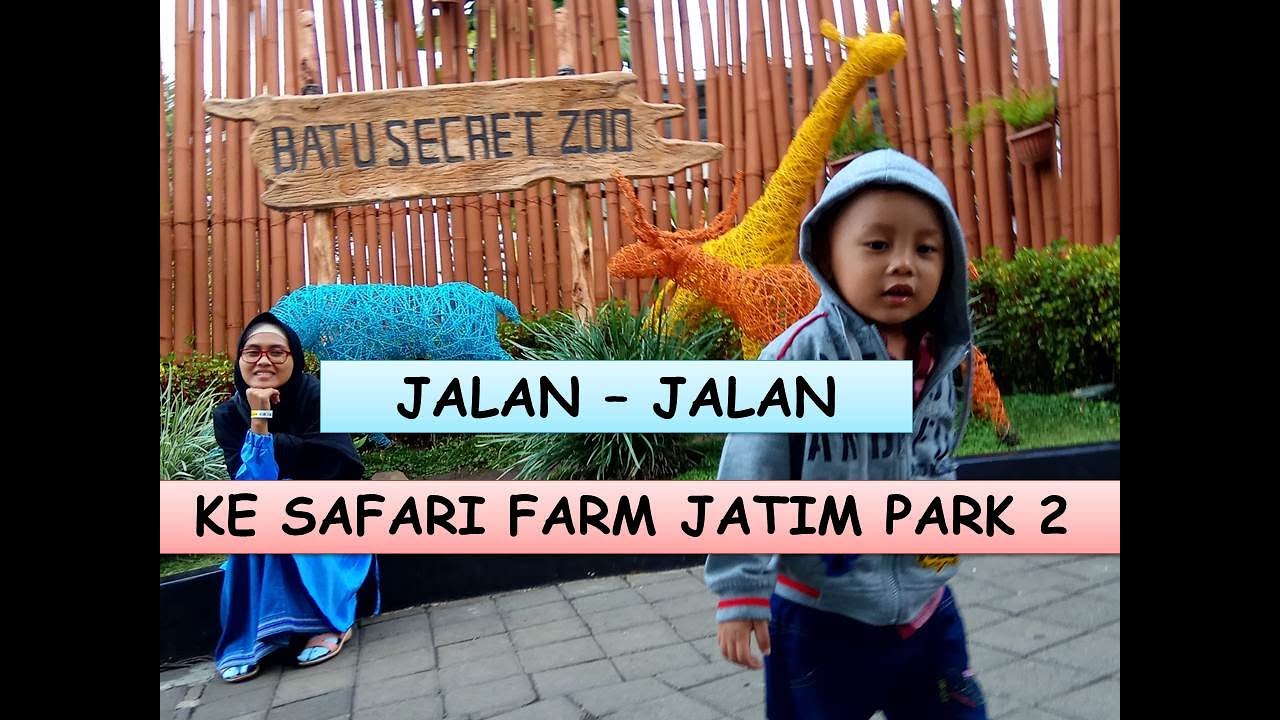 Jalan-Jalan ke Jatim Park 2 Eps. Safari Farm || Batu Secret Zoo Malang