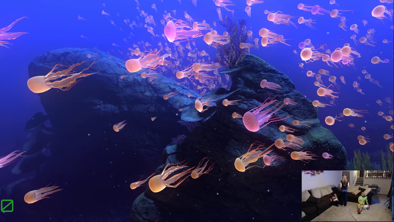 the Blu Reef Migration   Karina