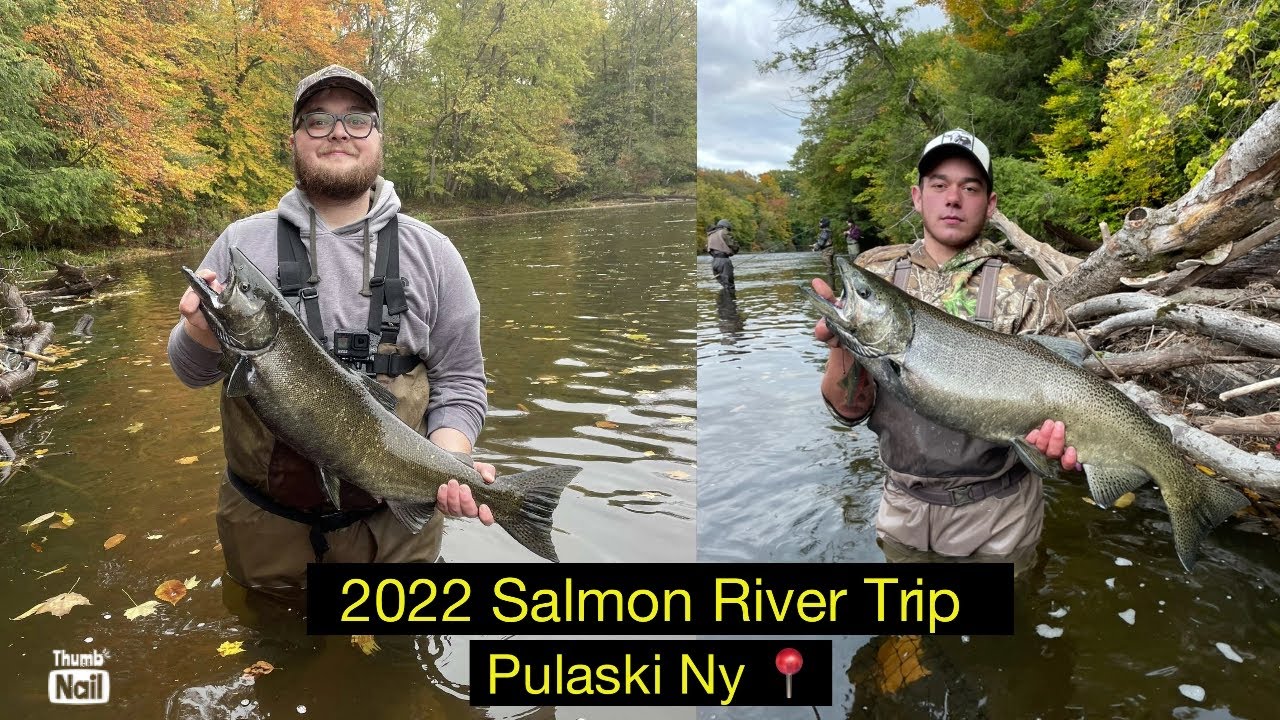 SALMON FISHING 2022 PULASKI, NY SALMON RIVER (**FISH CAUGHT