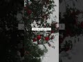 Heart Melting Beautiful Recitation Of Surah Younis Peaceful Relaxing Soothing Quran Omar Hisham Heart Melting Beautiful Recitation Of Surah Younis Peaceful Relaxing Soothing Quran Omar Hisham