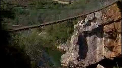 Hermann tortoise victim of climate change