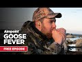 Aimpoint Goose Fever | Free Episode | MyOutdoorTV
