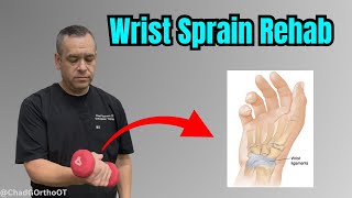 Wrist Sprain Recovery Guide (Grade 1–2): Mobility + Strength Exercises screenshot 5