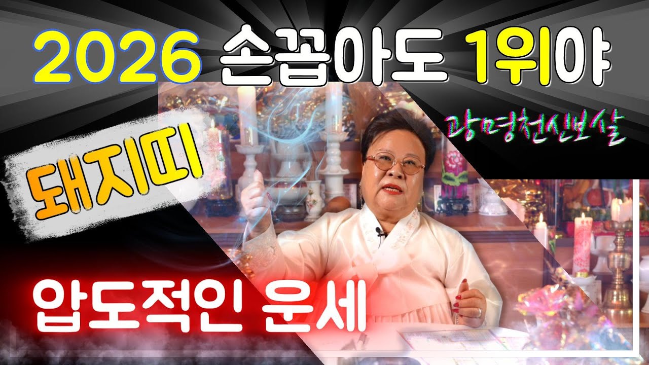 2026년 돼지띠 운세 