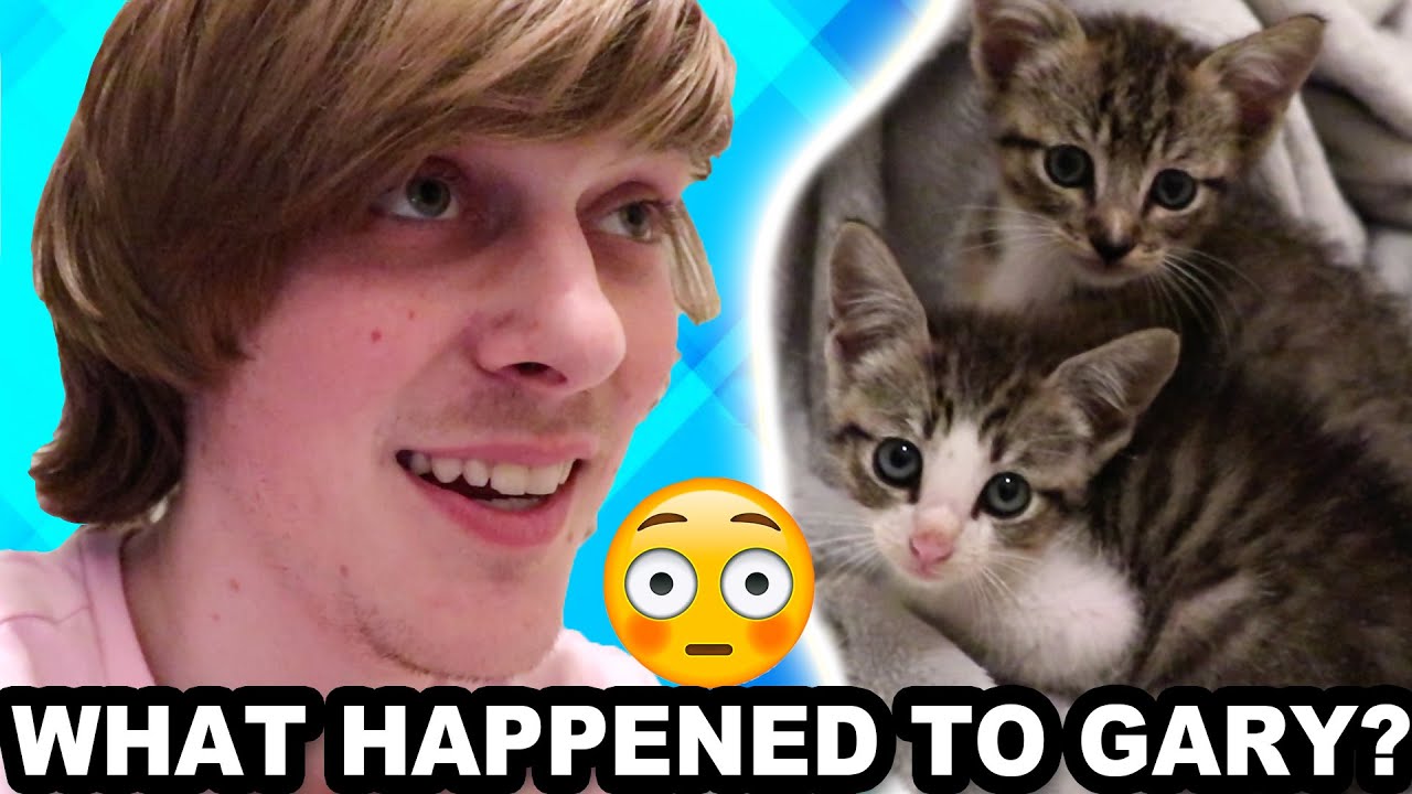 МЫ НАШЛИ СЕСТРУ ГЭРИ! (Кот Джеффи)