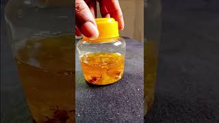 Oil for remove Split Ends at Home 👍 | how to remove split ends 😔 @preityprerna