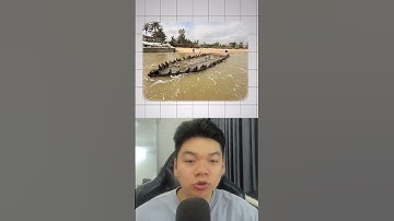 Tàu cổ ở Hội An bất ngờ nổi lên nguyên vẹn sau bão số 13 #shorts