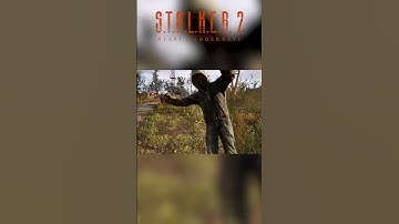 😱 Stalker 2 Developers Knew You Would Try This #stalker2