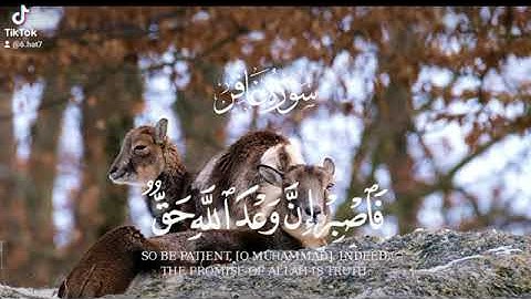 ﴿ فَاصْبِرْ إِنَّ وَعْدَ اللَّهِ حَقٌّ وَاسْتَغْفِرْ لِذَنبِكَ وَسَبِّحْ بِحَمْدِ رَبِّكَ~سورة غافر