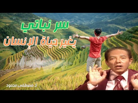 دروس ملهمة للإنسان من عالم النبات د مصطفى محمود 