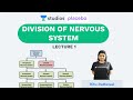 L1: Division of Nervous System | Human Neural System (Pre-medical-NEET/AIIMS) | Ritu Rattewal