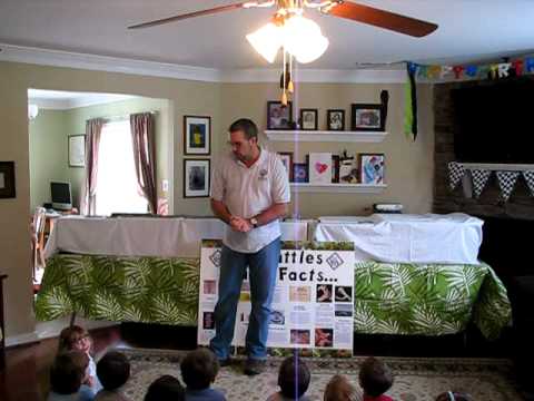 animals worksheet JB's Rattles Educational Reptile Show