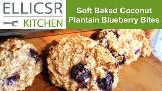 Soft Baked Coconut Plantain Blueberry Bites