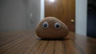 Brody's Rock
