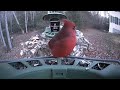 Super Feeder from New England! Bluejays, Cardinals, Woodpeckers, Nuthatches, Titmice &amp; more!