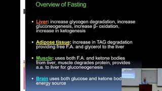The Fasting state: An overview @DrAJGhalayini The Fasted State Overview