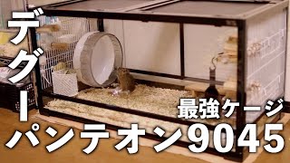 デグー(degu)！最強ケージパンテオン9045組み立て動画