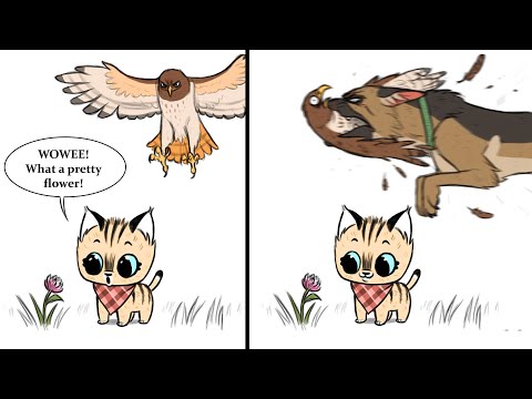 🔥Funny Comics with Unexpeted Ending By  Pet_foolery (Brutus and Pixie) 🔥 | Hilarious Comics  #2