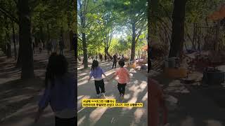 #서남매 #영주여행 #영주부석사#가을#남매 화해법
