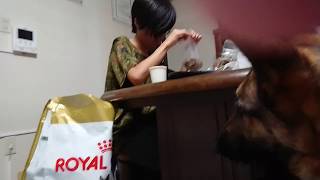 546　マリアちゃんのエサの小分け中①