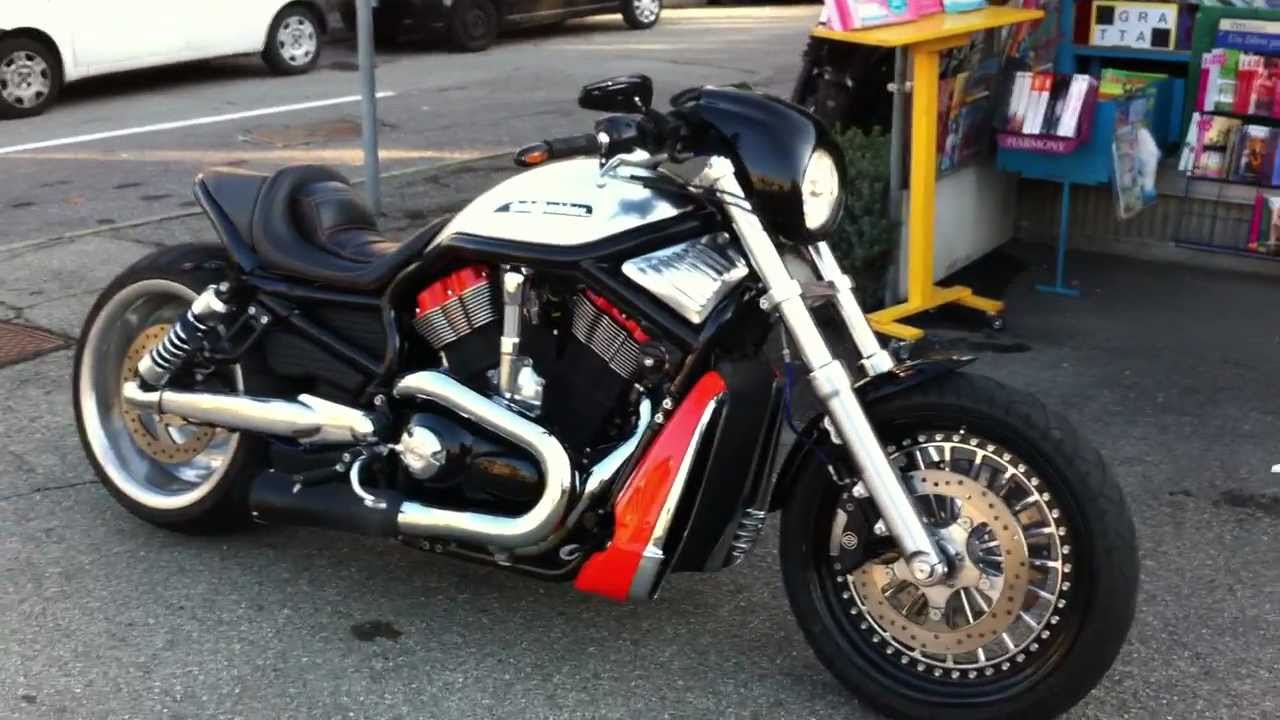  Harley Davidson VROD Special Italia YouTube