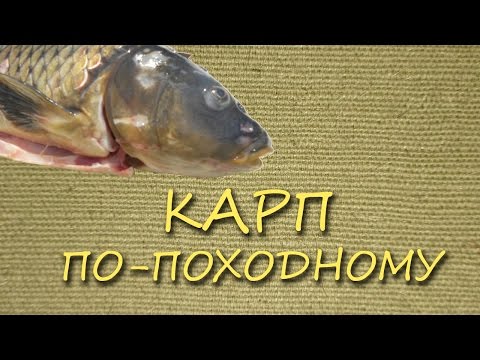 Карп по-походному в бочке