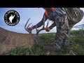 North america deer slam  montana whitetail  mark v peterson hunting