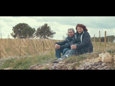 L'importance du terroir