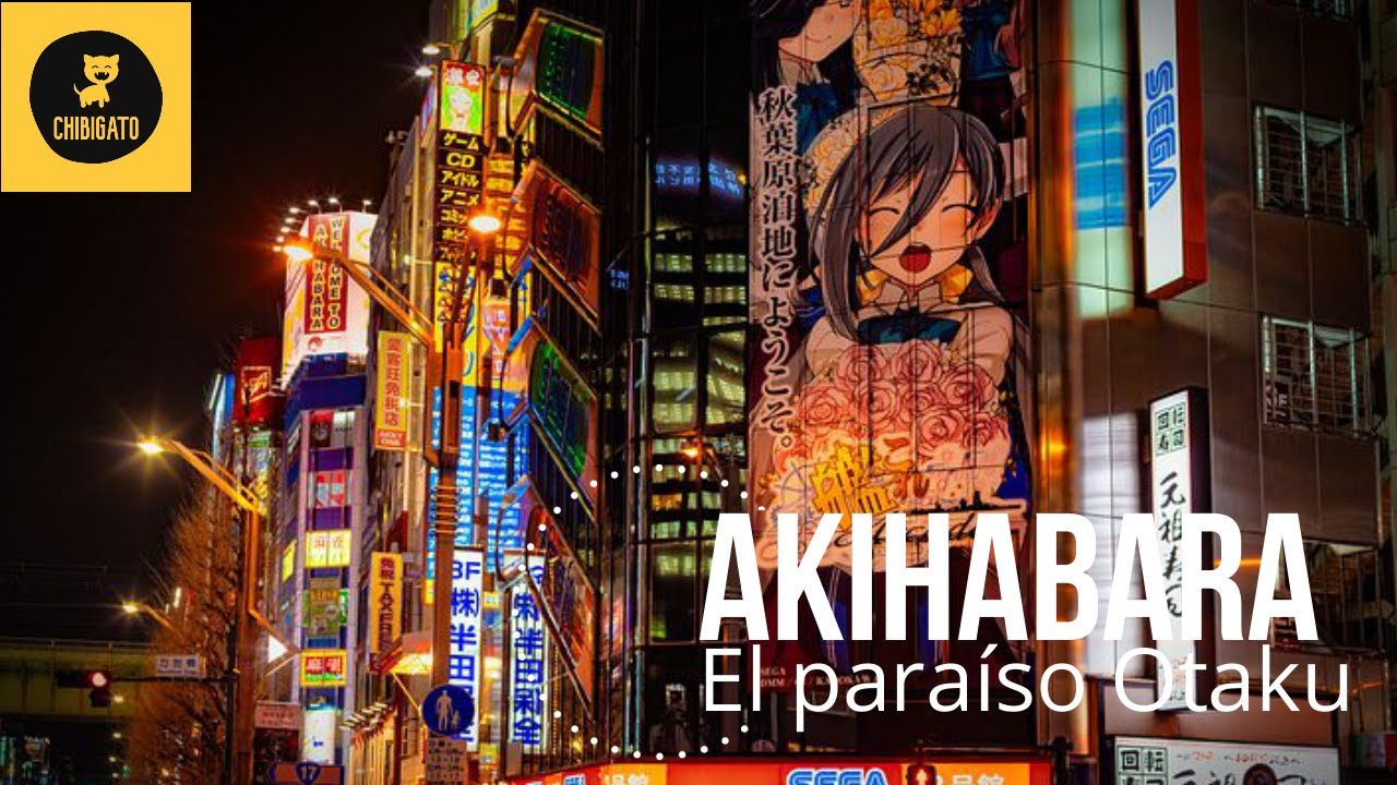Rede Akiba - O Paraíso dos Otakus!