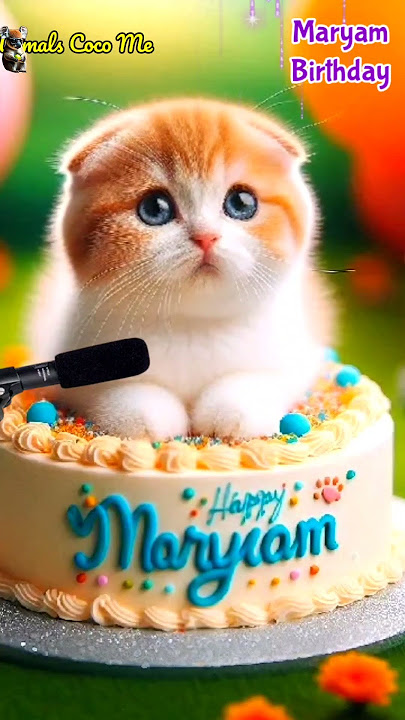 MARYAM BIRTHDAY | HAPPY BIRTHDAY SONG WITH NAMES | Adorable Cute Cat 😺 #happybirthday #cat #cute
