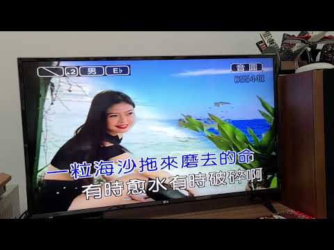 漂浪的海沙