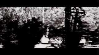 Eleven Sun †  Flies  [official video]