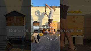 Installing new bees into their my apiary #shorts #beekeeper #beekeepingtips  #apiary