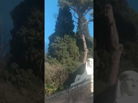 il segreto della