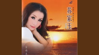 红尘情歌