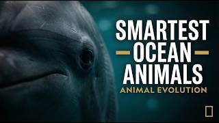 Top 5 Smartest Ocean Animals That Actually Care About Us 🌊