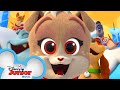 Keias birt.ay  music  puppy dog pals  disney junior