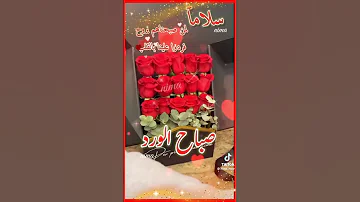 صباح النور والسرور على الناس الغاليين 