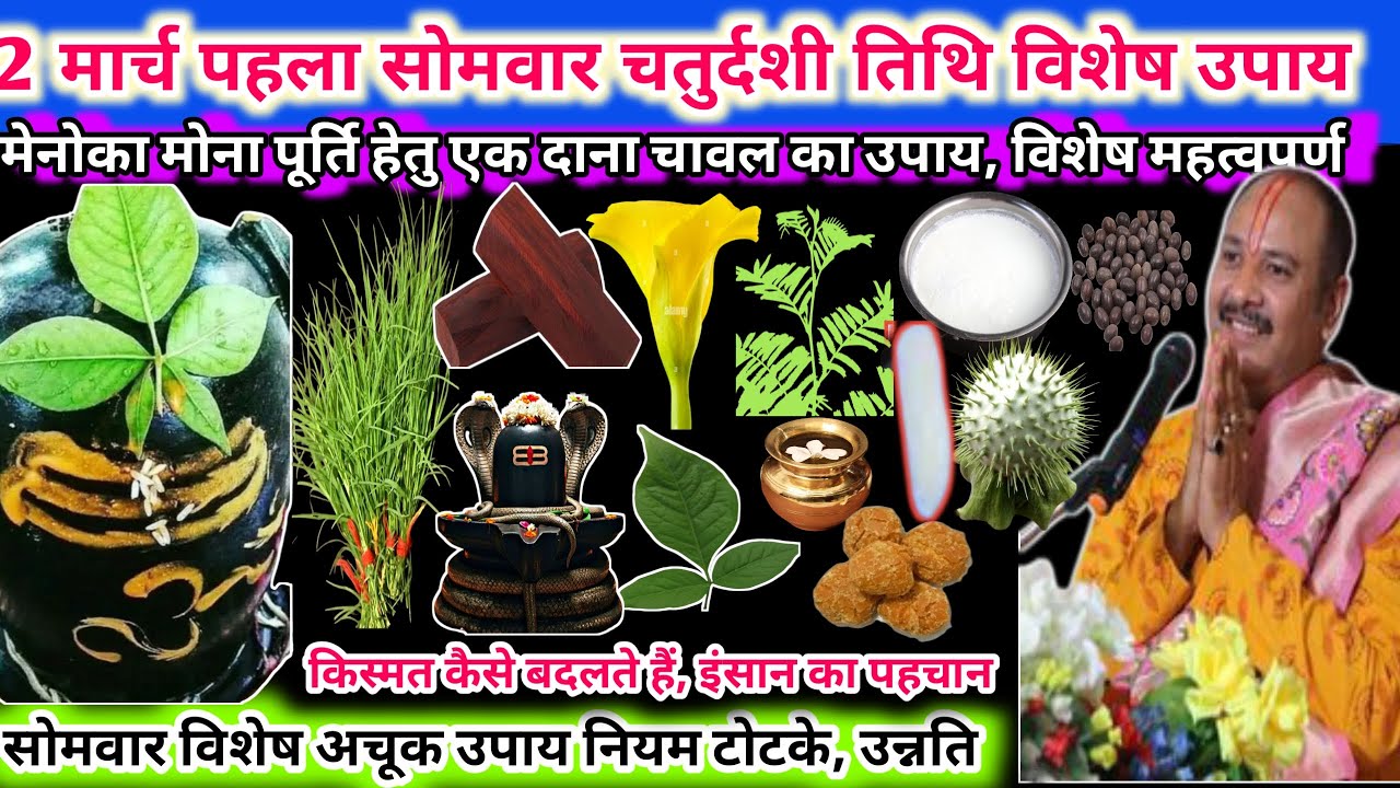 2 मार्च पहला सोमवार चतुर्थी तिथि विशेष उपाय। मनोकामना पूर्ति हेतु, एक दाना चावल का उपाय 🌿🔱#upay#shiv
