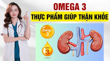 Omega 3 – Thực Phẩm Vàng Giúp Thận Khỏe Mạnh Hơn Mỗi Ngày! | Dr Thu Hằng