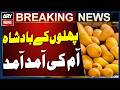 King of Fruits: Mango Season Begins as Mangoes Arrive in Markets