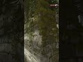 3k deagke kills #cs2highlights #csgo #counterstrike #cs2 #gaming