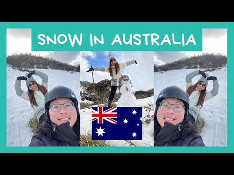วีดีโอ: เล่นสกีที่ไหนดีในออสเตรเลีย