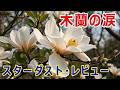 木蘭の涙(STARDUST REVUE)