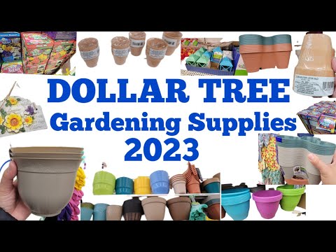 Twelve Dollar Tree deals under $1.25 - including gardening finds