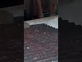 there is a ghost there is a ghost 👻👻👻👻👻👻👻👻👻👻👻 fear